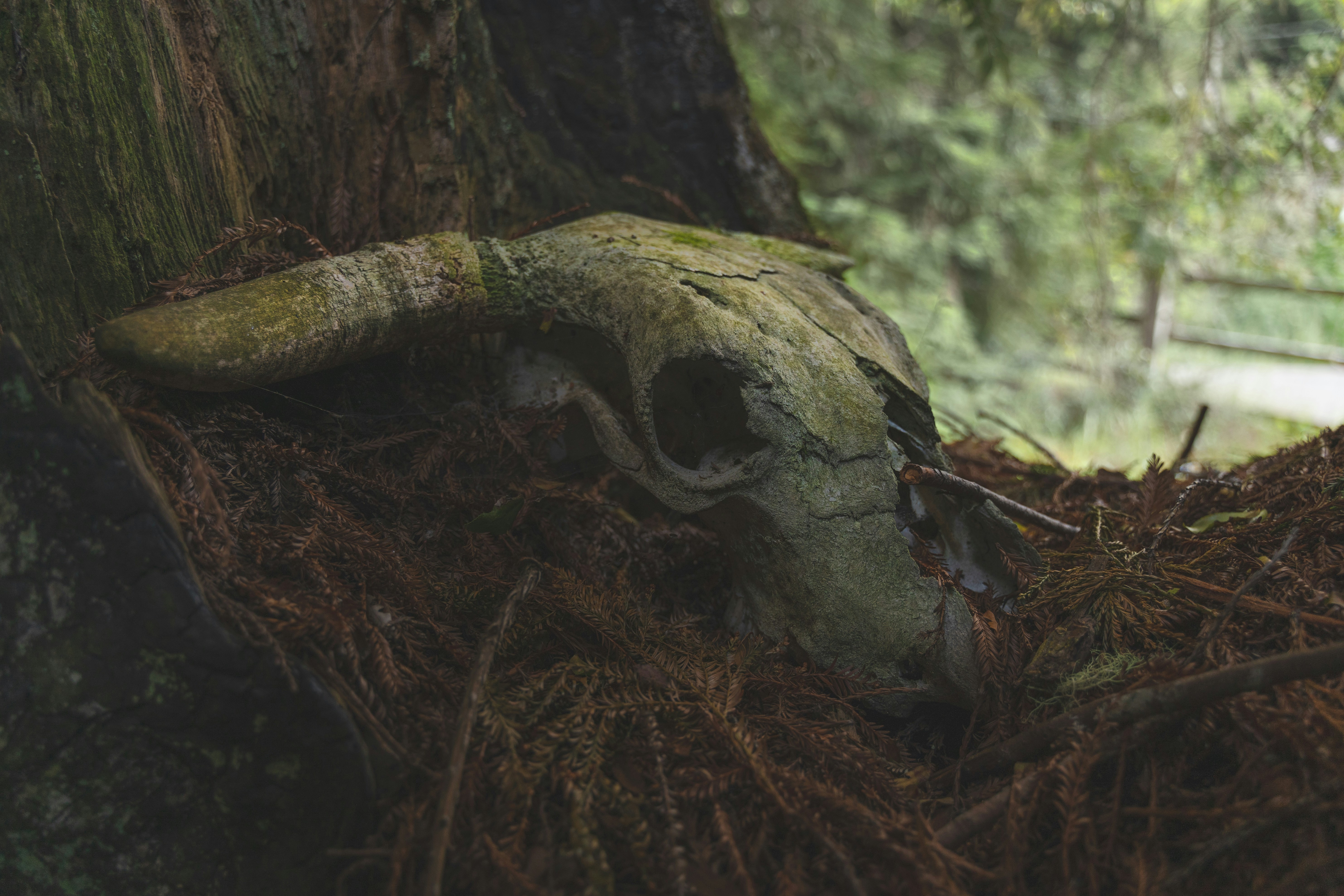 Why AI Just Can't Fix that Bug