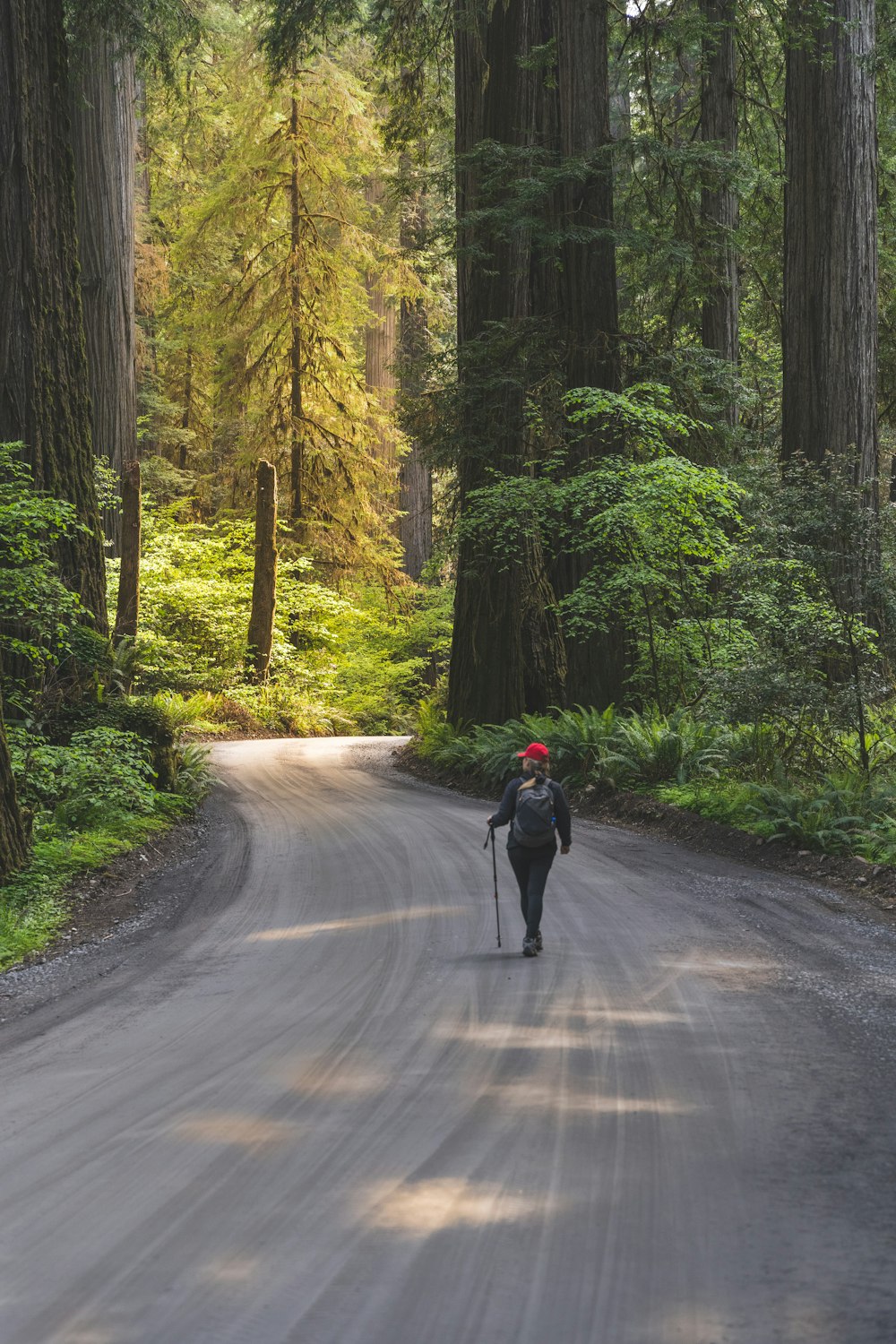 person in black jacket walking on road between trees during daytime