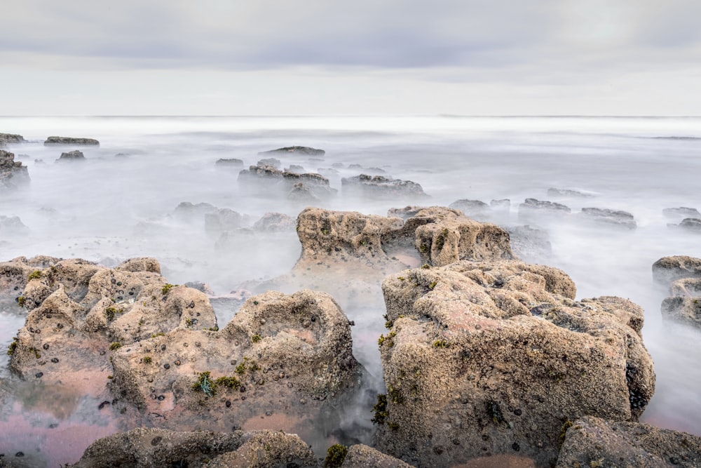 roches brunes sur le bord de la mer pendant la journée