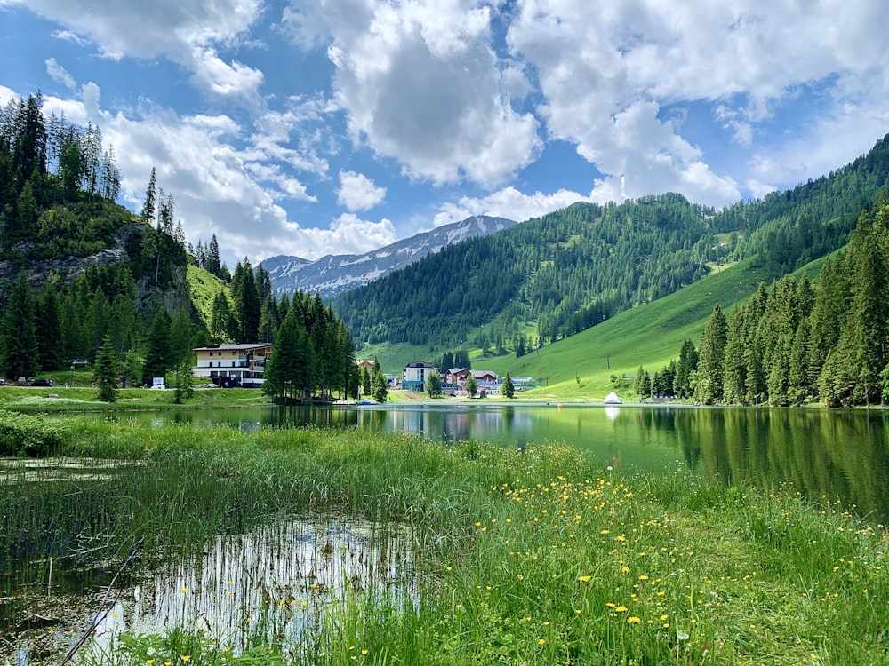 green trees near lake under blue sky during daytime