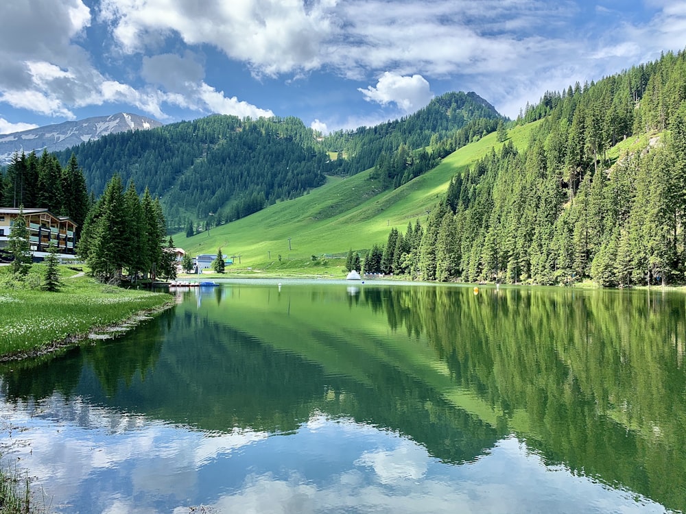 Grüne Bäume in der Nähe des Sees unter blauem Himmel während des Tages