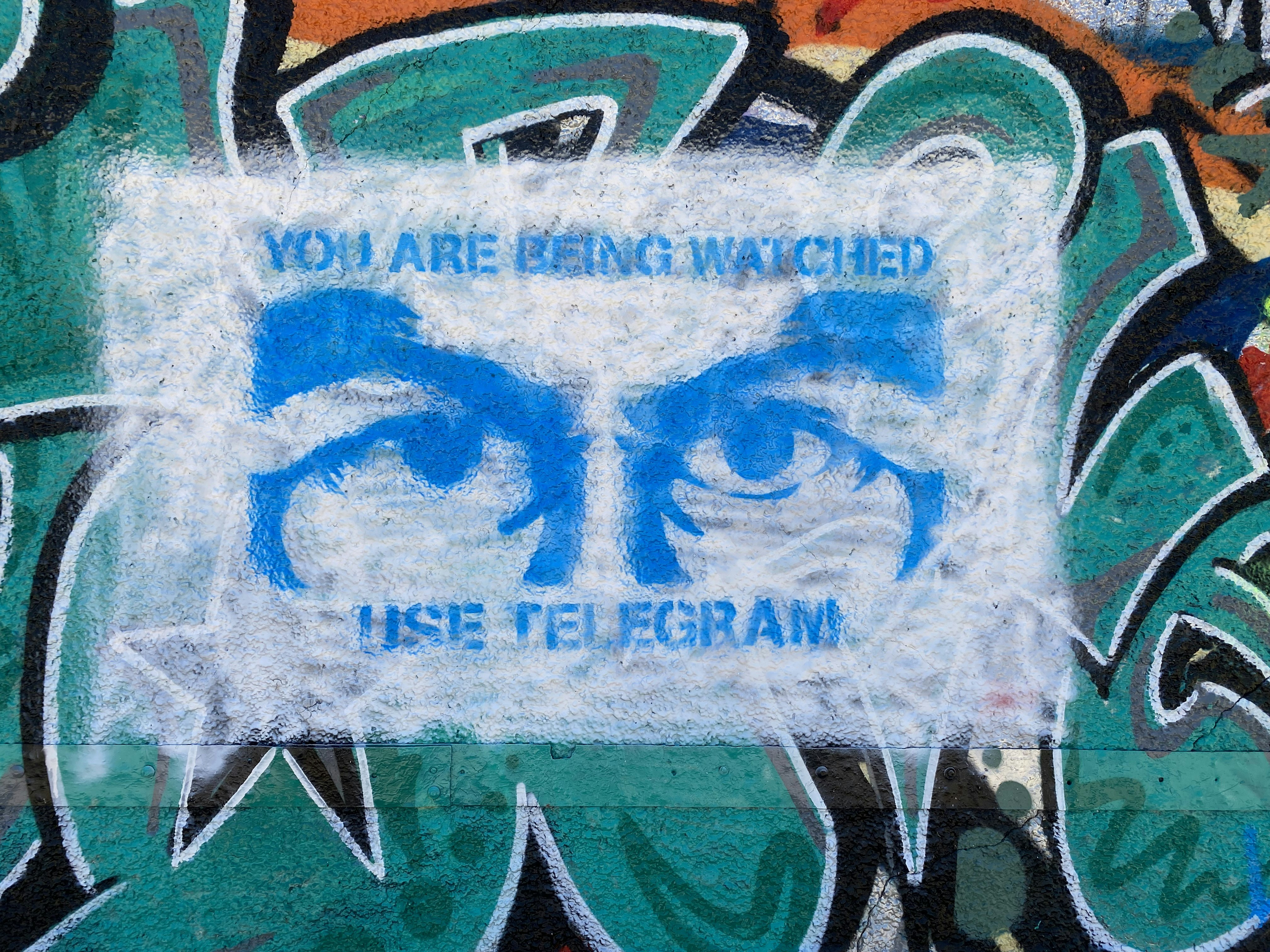 From Political Cartoons to Digital Engagement: Capturing the Moment