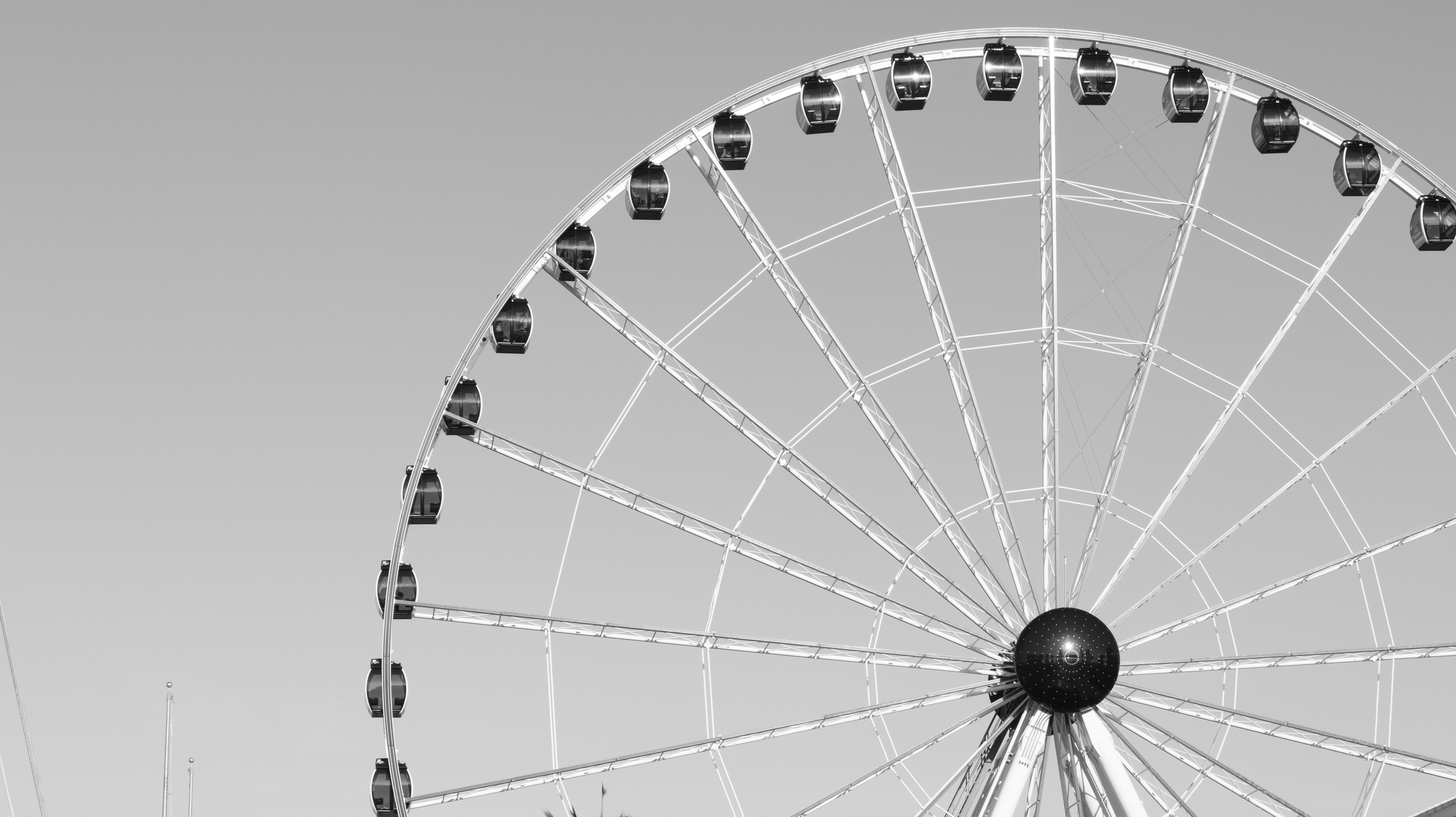 Grande roue blanche et noire