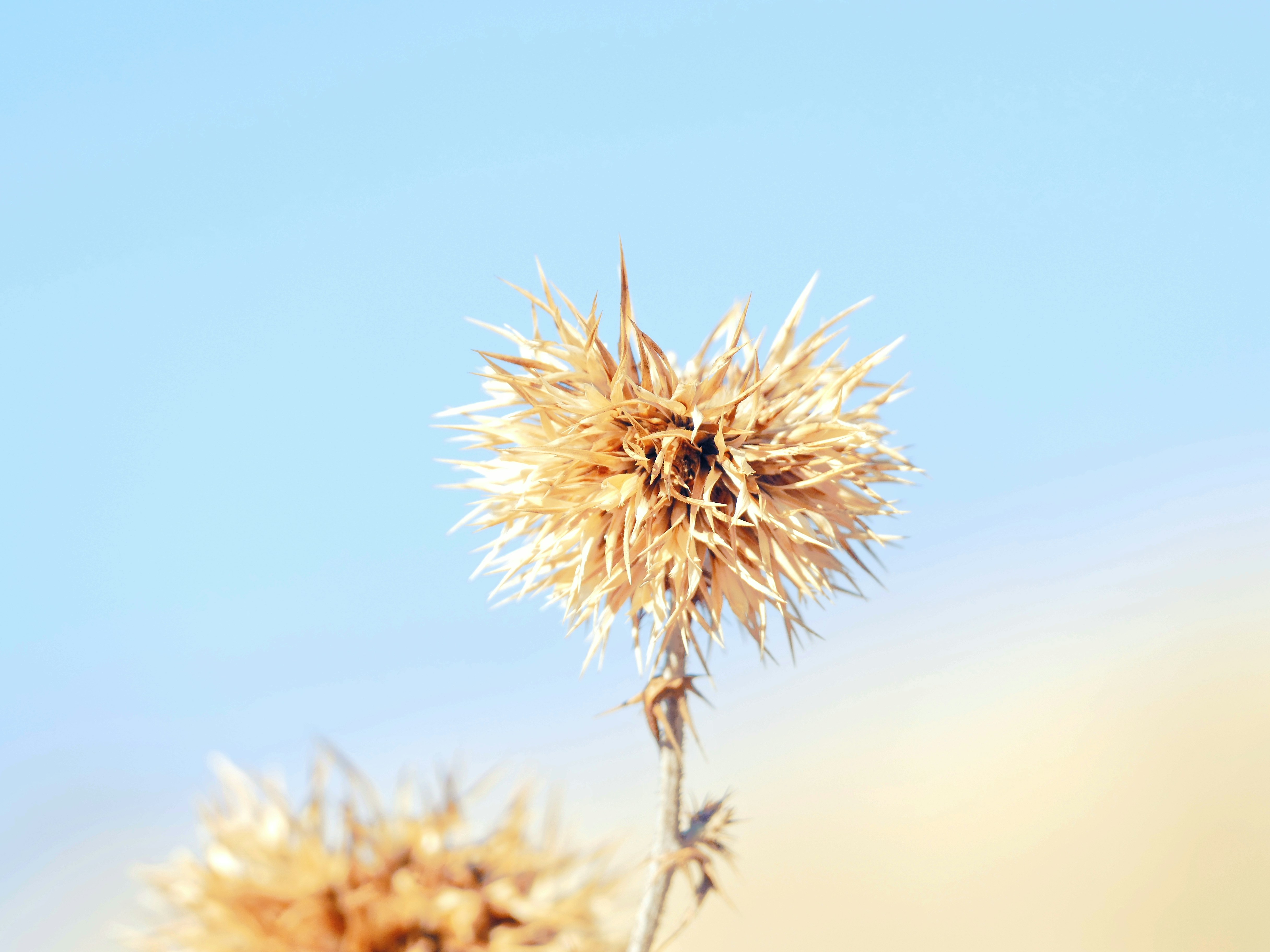 Photo by bunteslicht