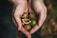 Close-up of a hand holding a handful of mixed roasted nuts with a rustic wooden background.