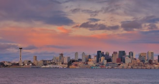 A panoramic view of Houston skyline at dusk highlighting high-rise luxury condos.
