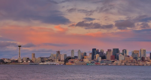 A panoramic view of Houston skyline at dusk highlighting high-rise luxury condos.