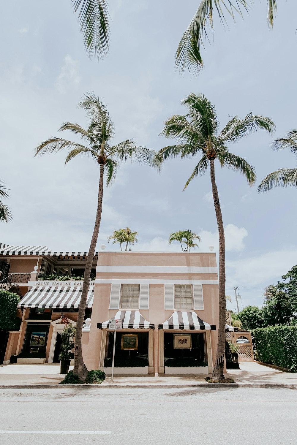 a palm tree lined street in front of a building