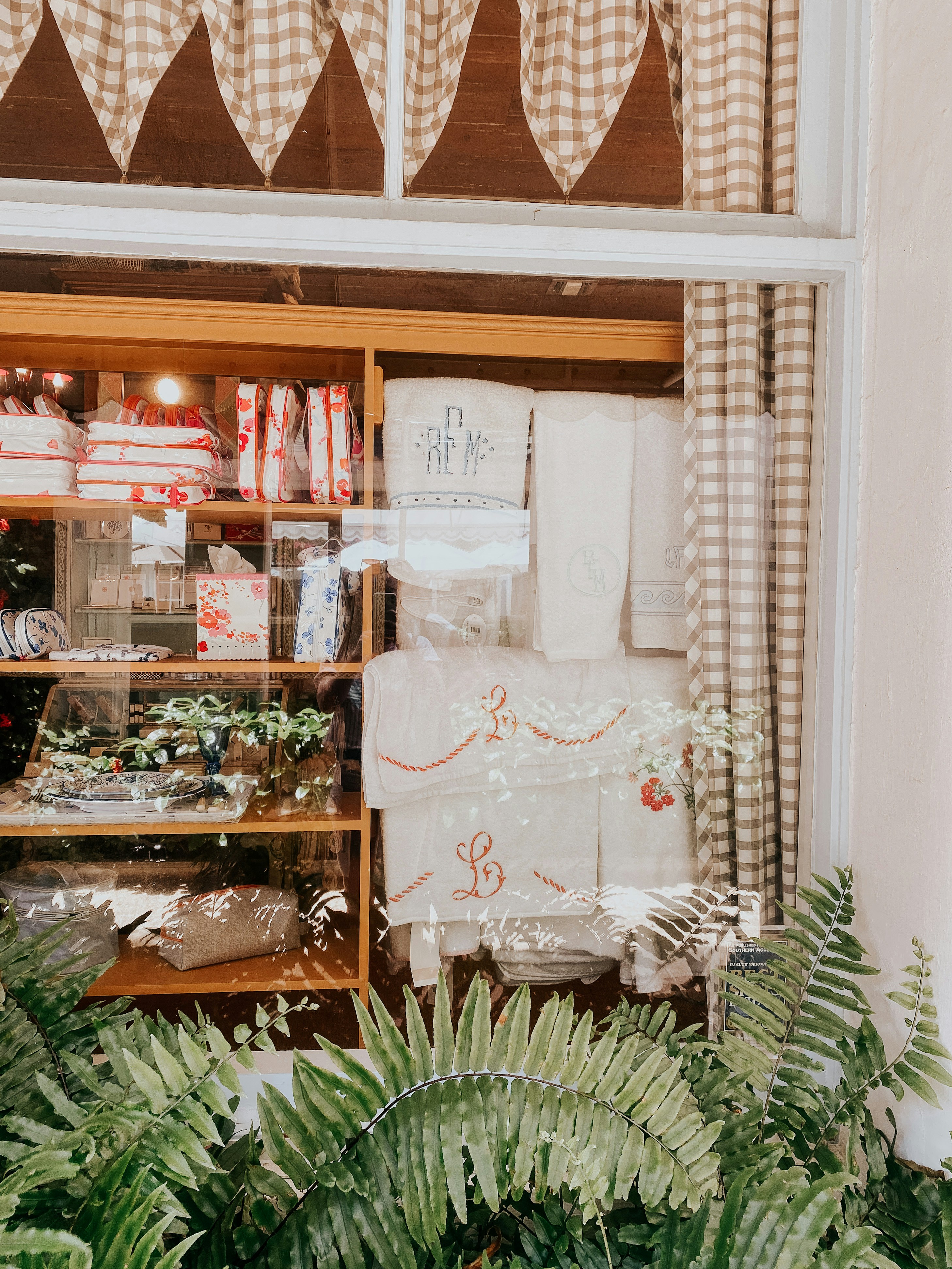 Pianta di cactus verde sullo scaffale di legno marrone