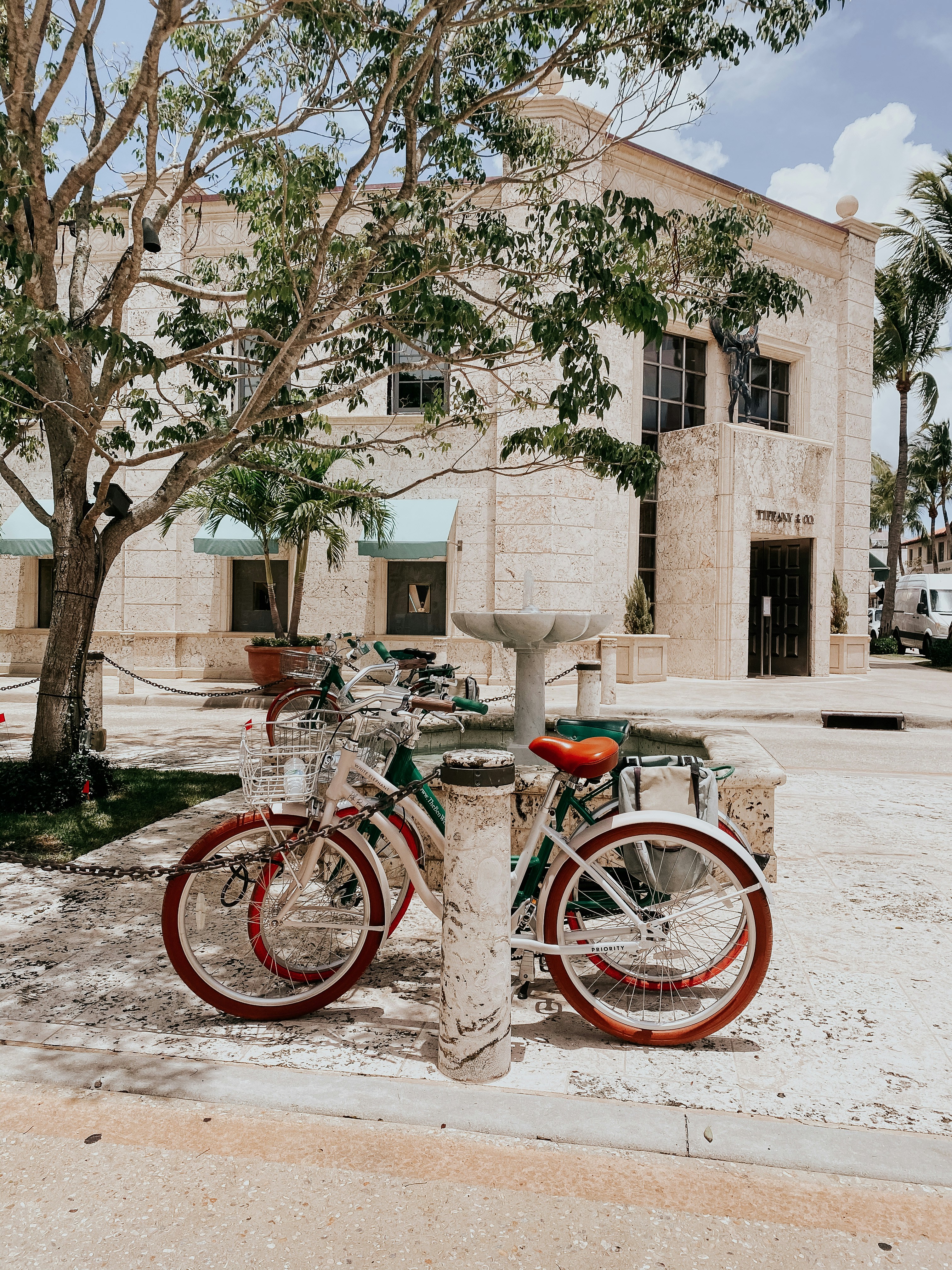 City bike rossa parcheggiata accanto all'albero nudo marrone durante il giorno