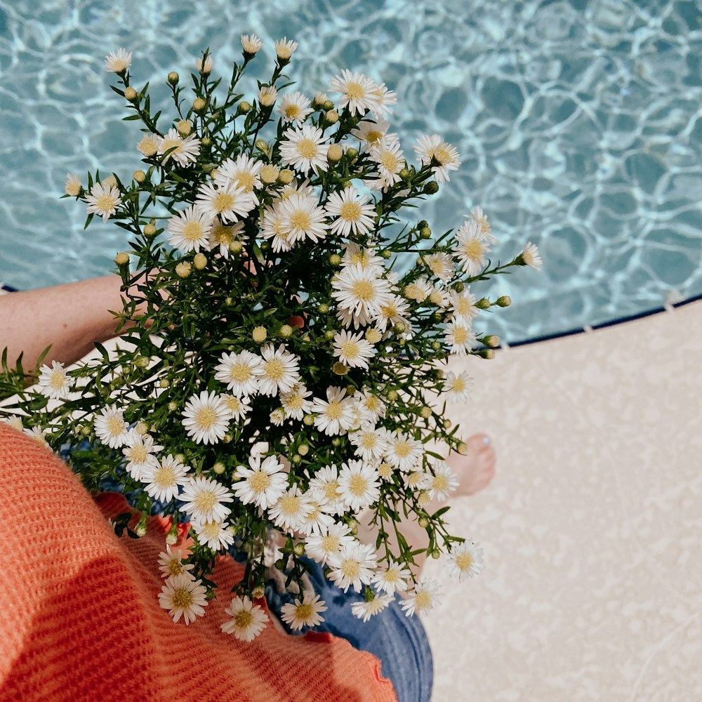 white and blue flower bouquet