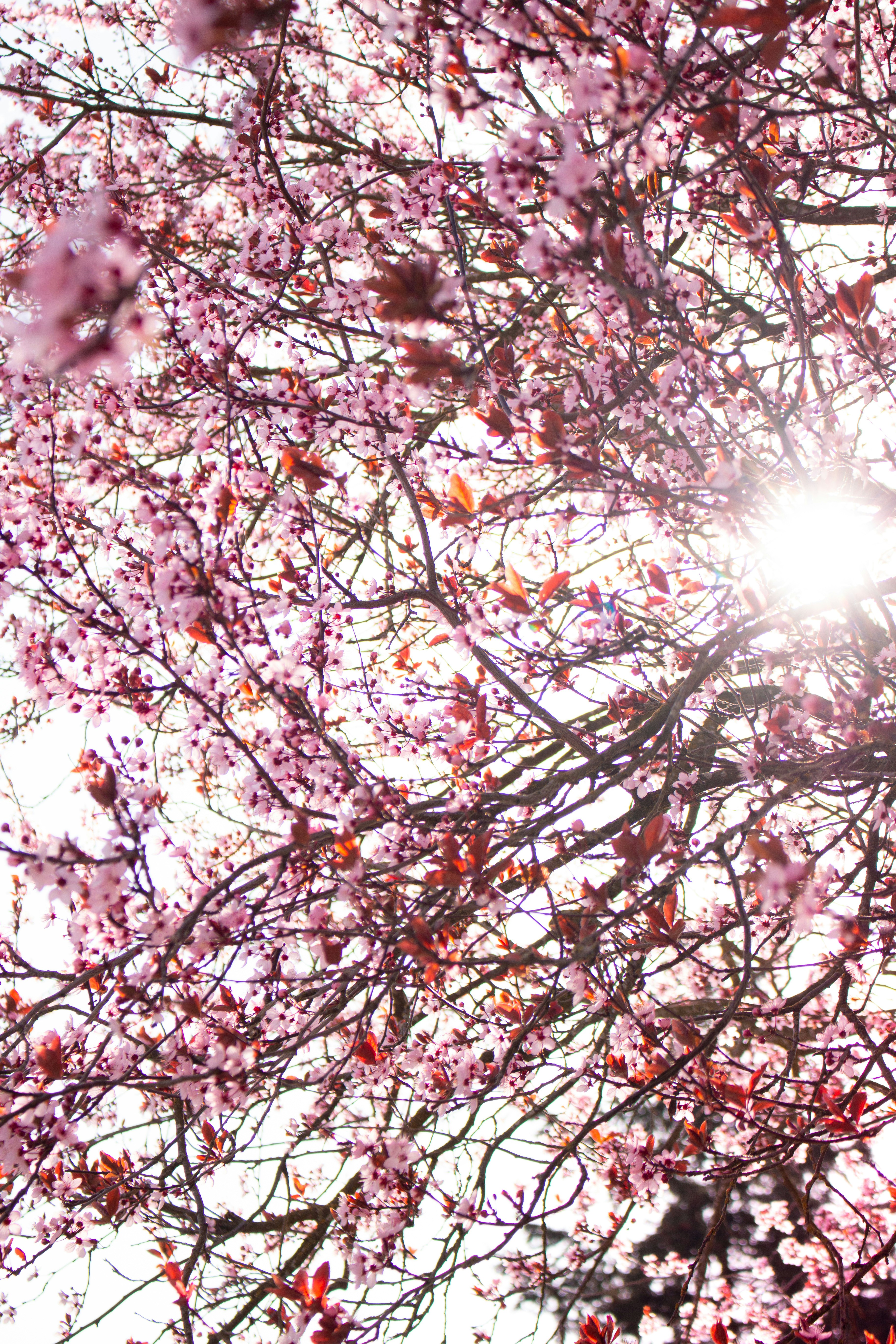 Photo by cascadiagirl253