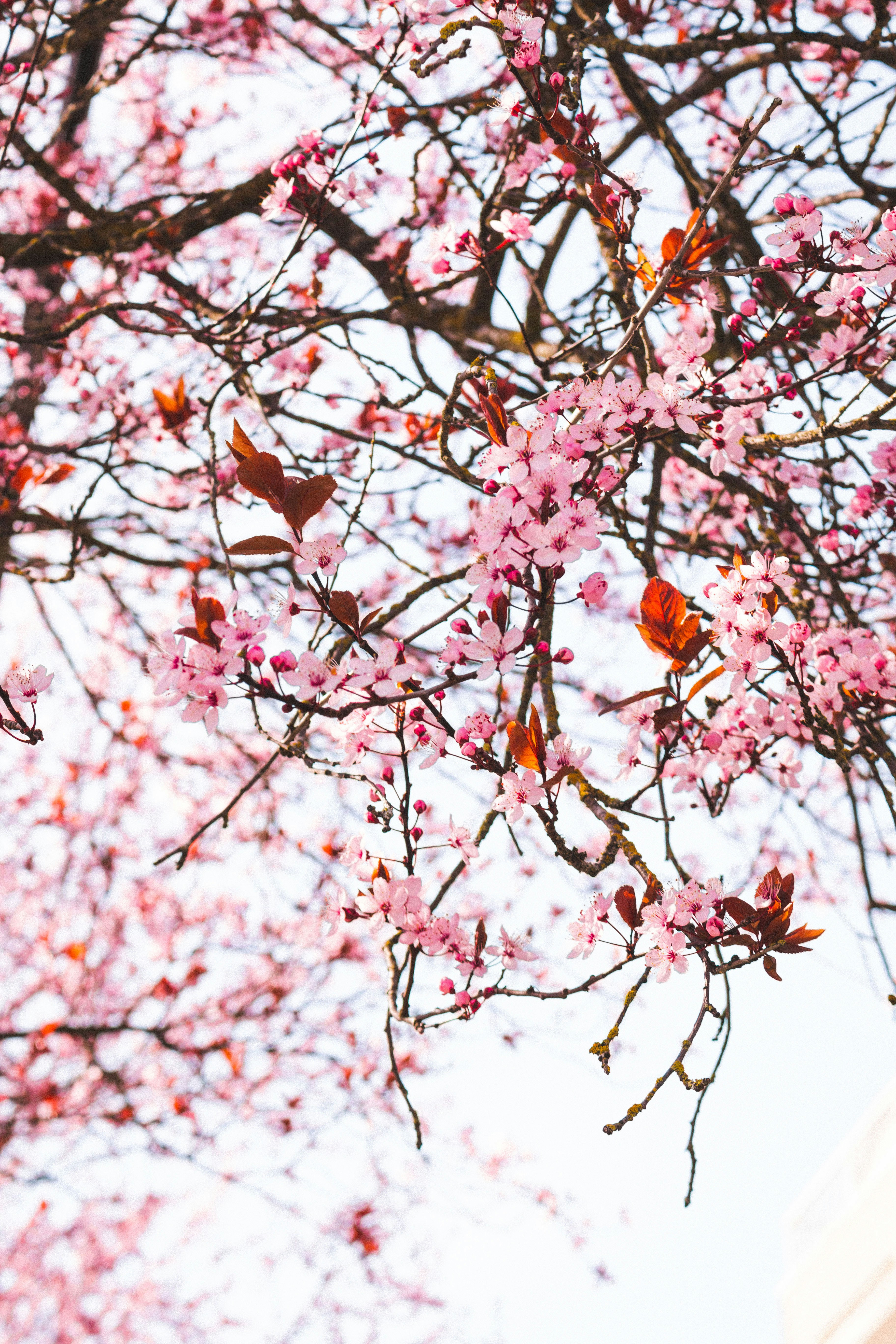 Photo by cascadiagirl253