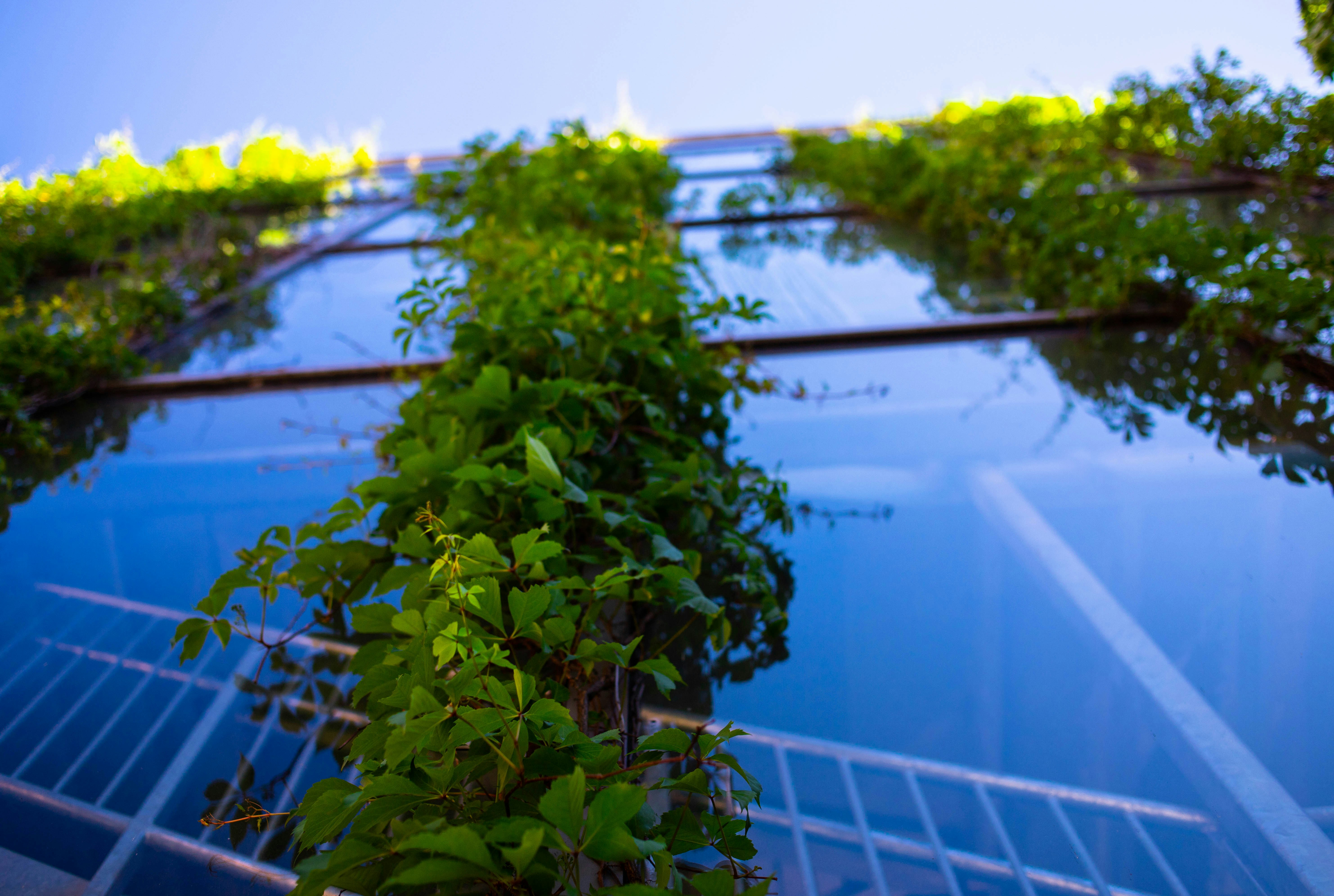 Photo by pat_joseph_