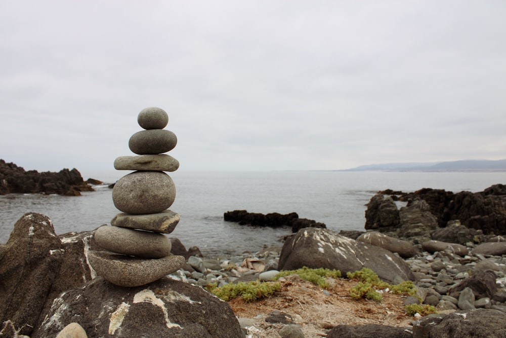 brown and gray stone near body of water during daytime