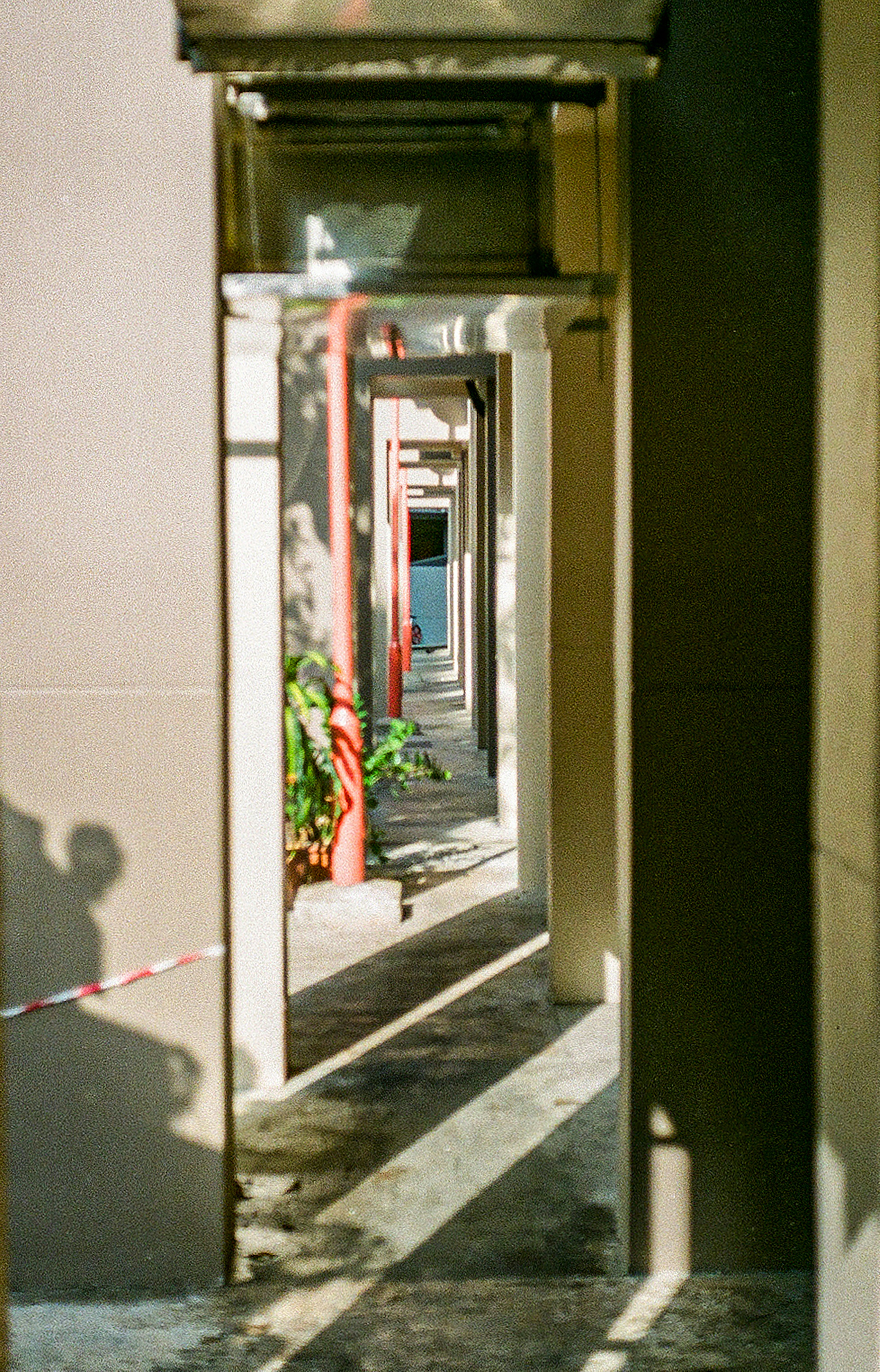 white wooden framed glass door