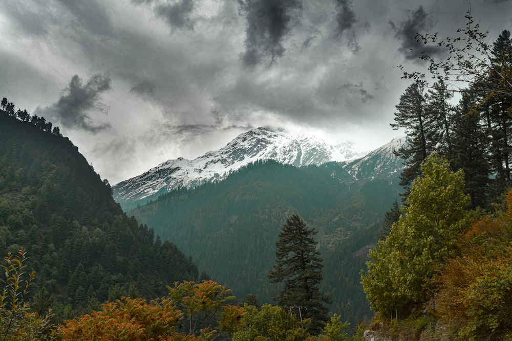 green trees near snow covered mountain under cloudy sky during daytime