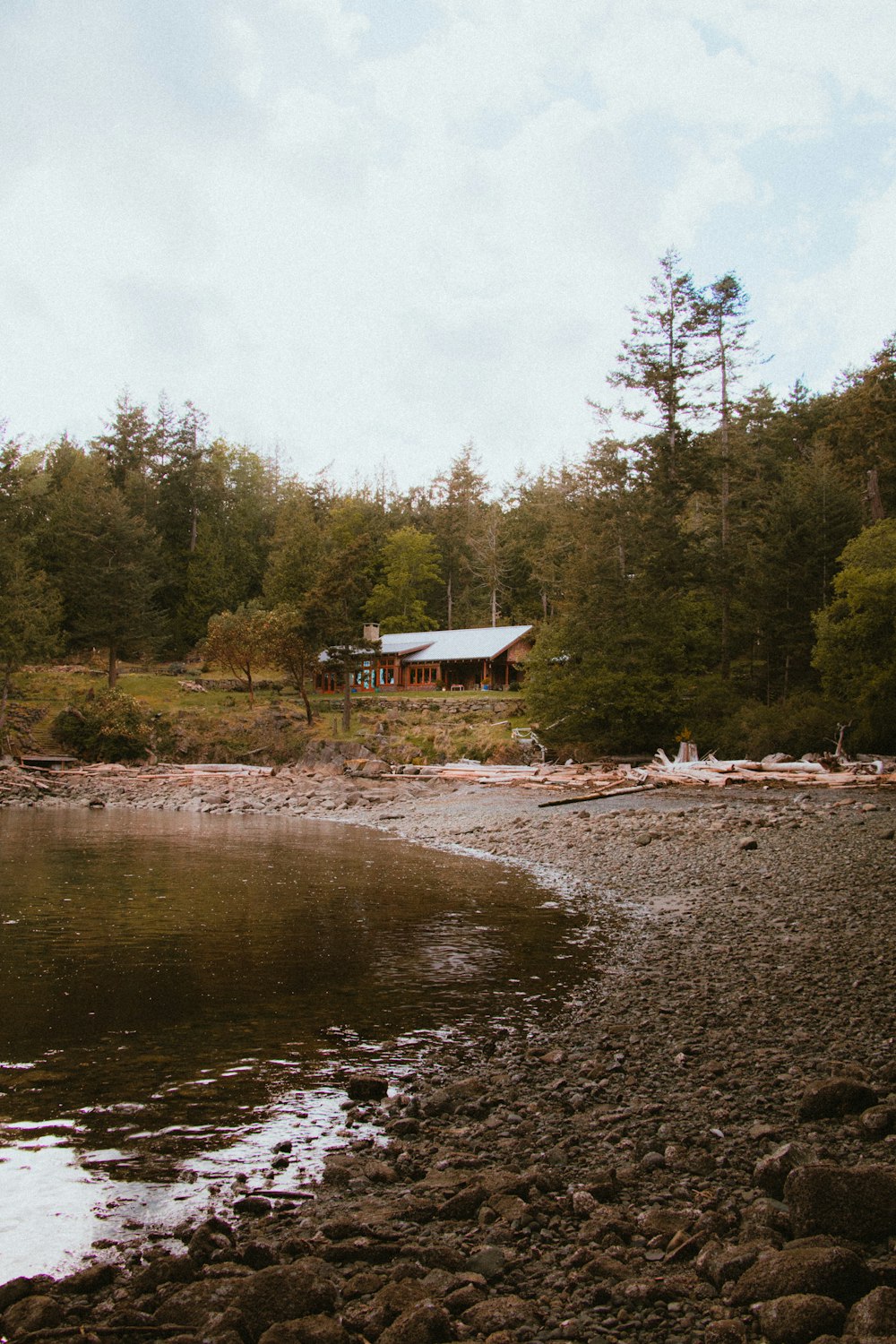 brown wooden house near green trees and river during daytime