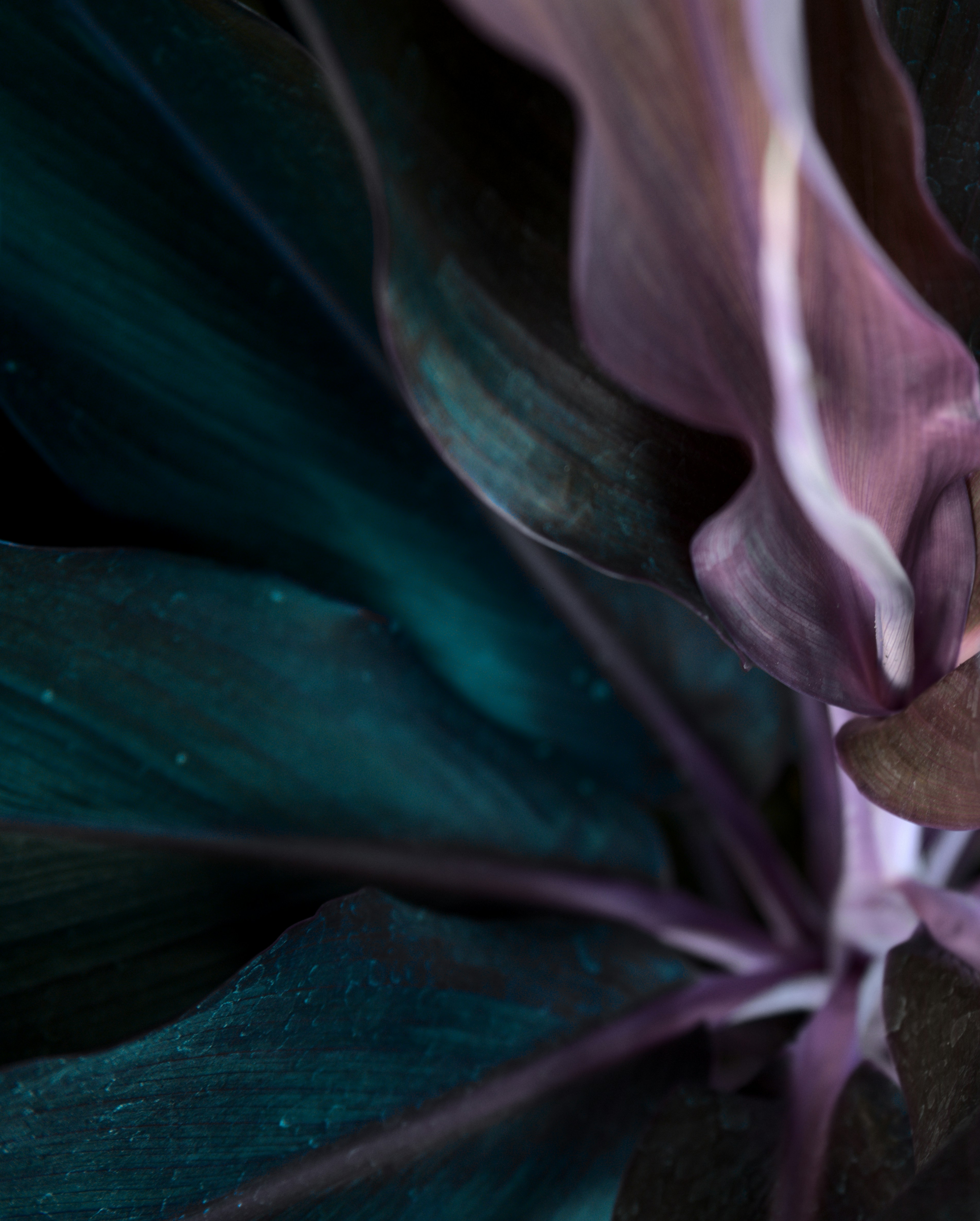 Photo by kilimanjarostudioz