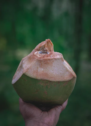Close-up of golden coconut oil pouring from a traditional Kerala clay pot beside fresh coconuts.