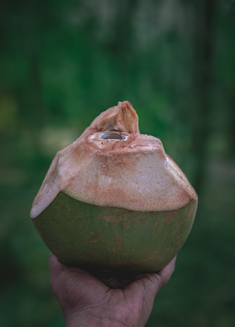 A fresh coconut is held up by a hand against a blurred green background. The top of the coconut is cut open, exposing the interior.