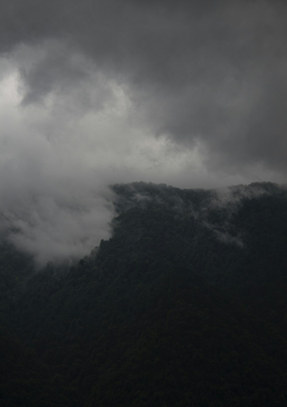 白い雲に覆われた黒い山