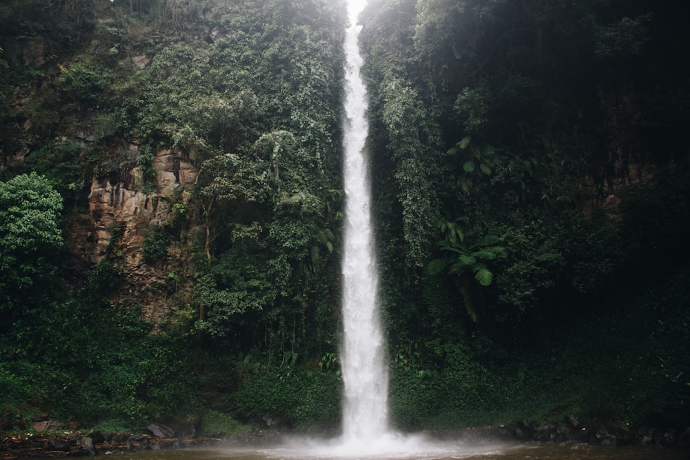 waterfalls in the middle of the forest during daytime