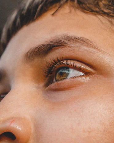An intimate close-up with warm, natural colors that bring out delicate textures.