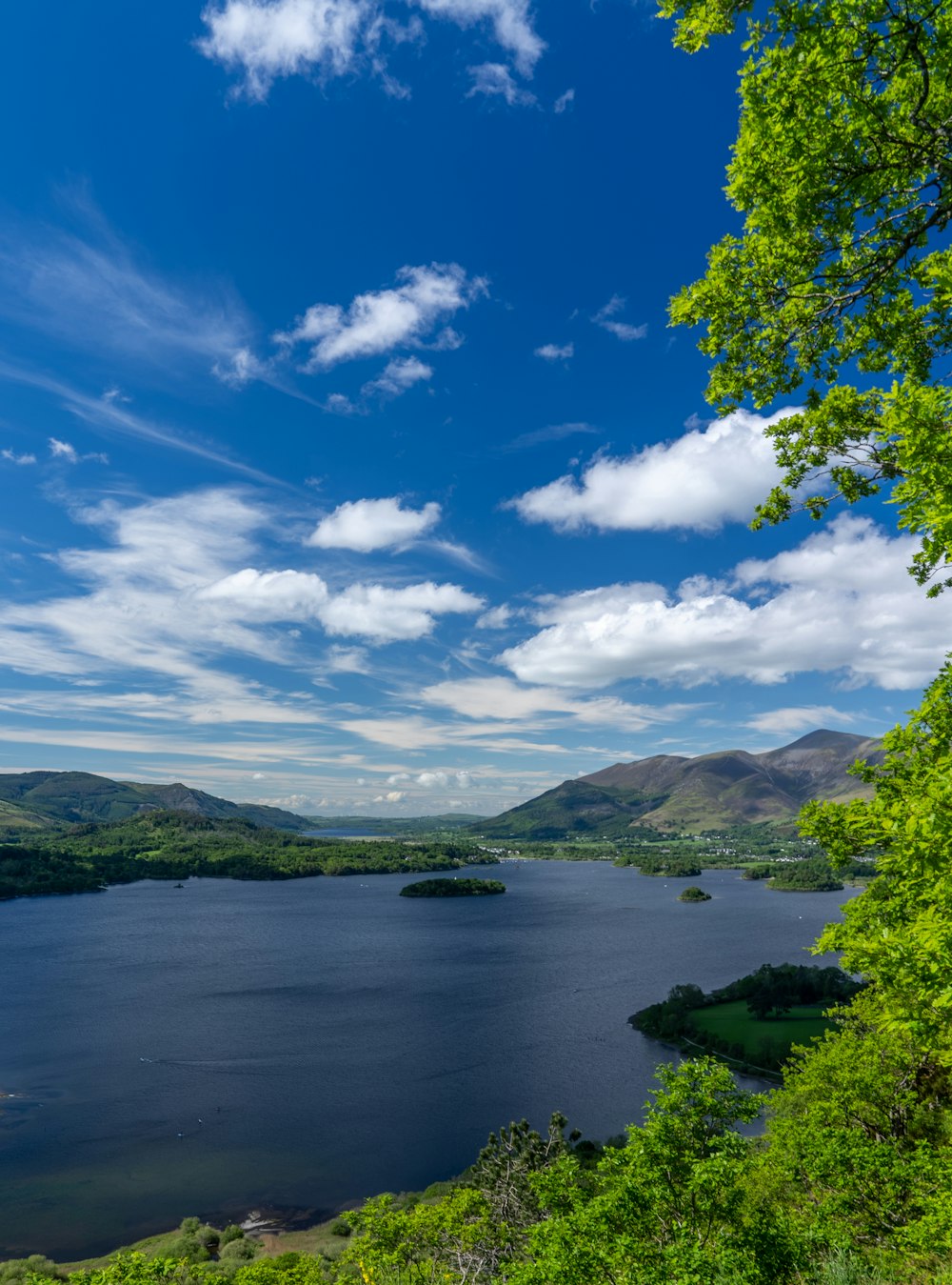 green trees near body of water under blue sky during daytime