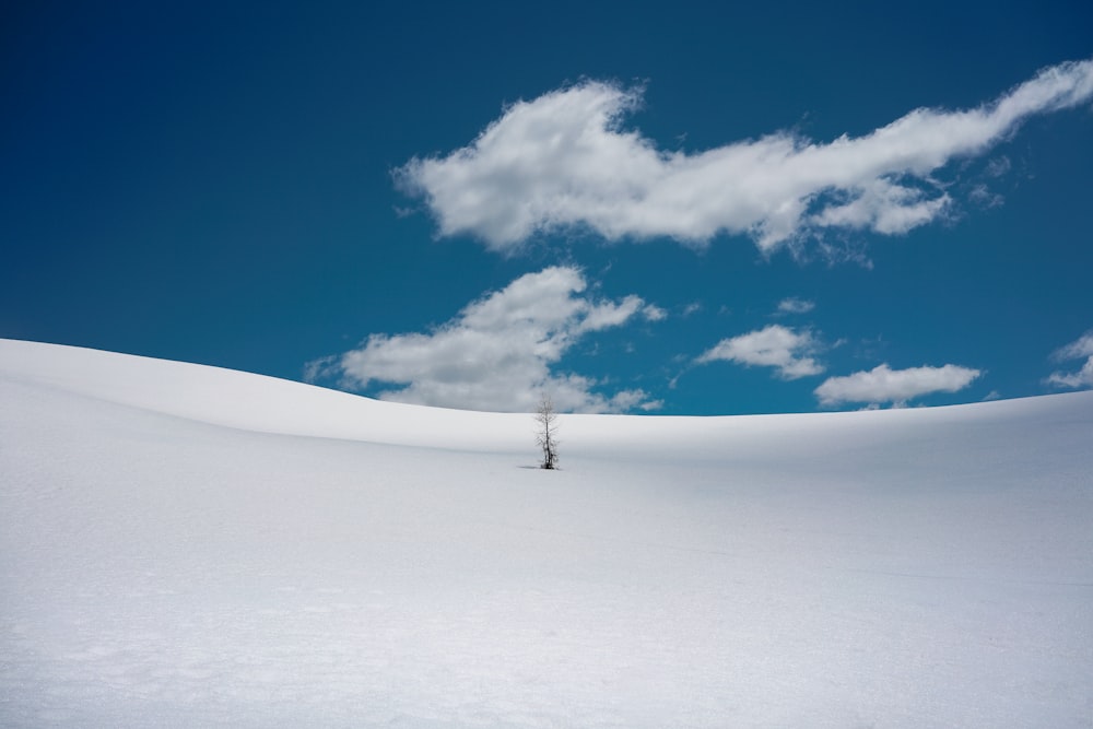 Person, die tagsüber auf einem schneebedeckten Feld unter blau-weißem, sonnigem, bewölktem Himmel spazieren geht