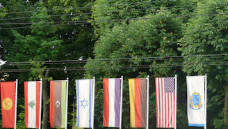 Flags of USA, Australia, and Europe surrounding a digital network