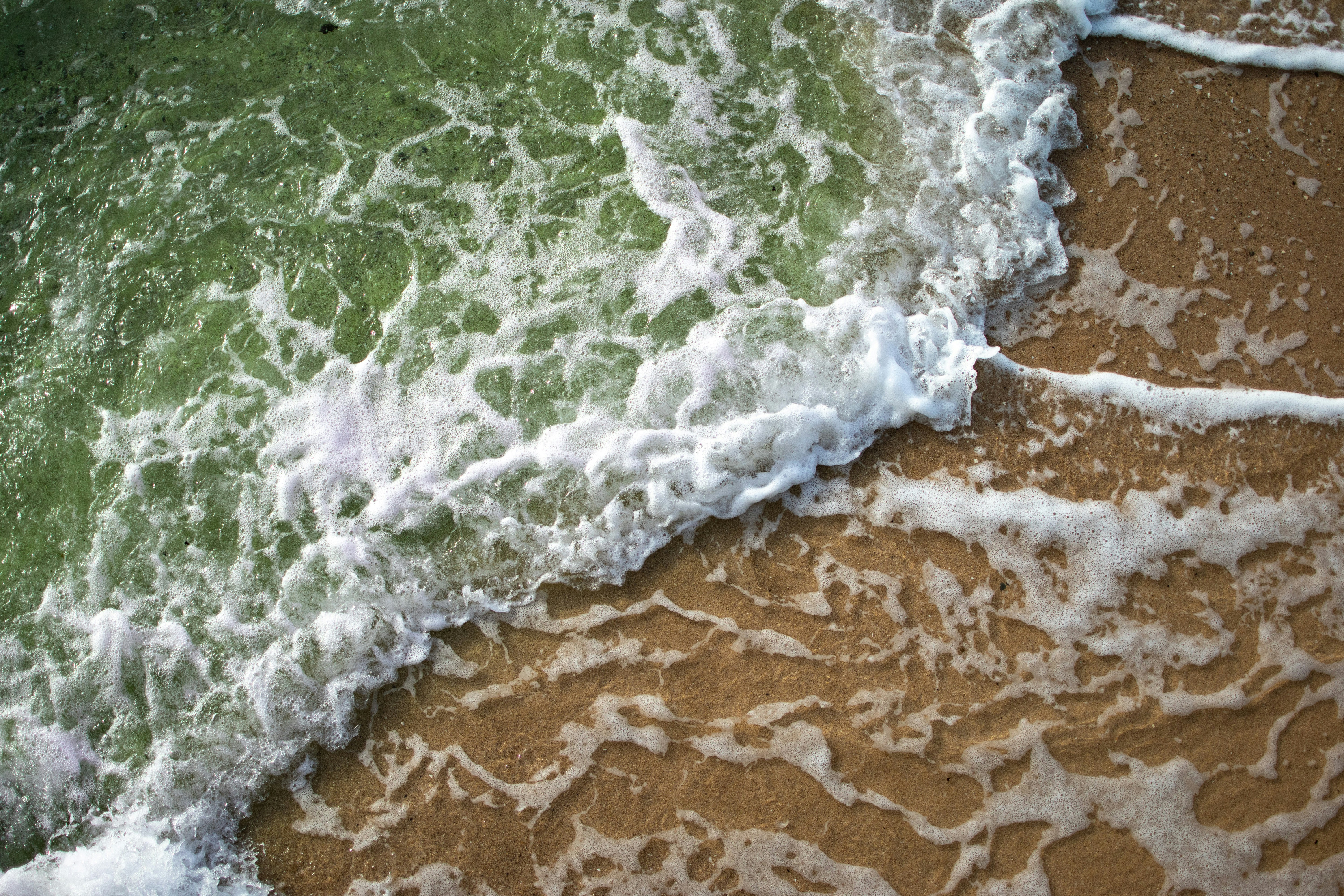 Photo by kaseydesign