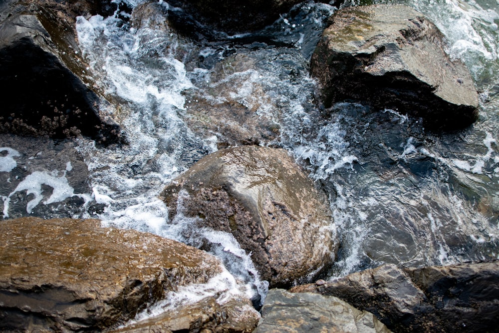 水域の茶色と灰色の岩層