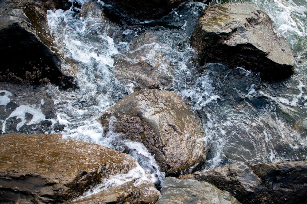 brown and gray rock formation on body of water