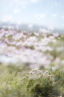 A dreamy outdoor scene of a flowing dress caught in a gentle breeze among wildflowers at dusk.