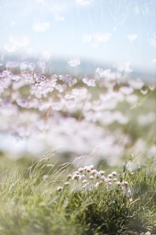 A dreamy outdoor scene of a flowing dress caught in a gentle breeze among wildflowers at dusk.