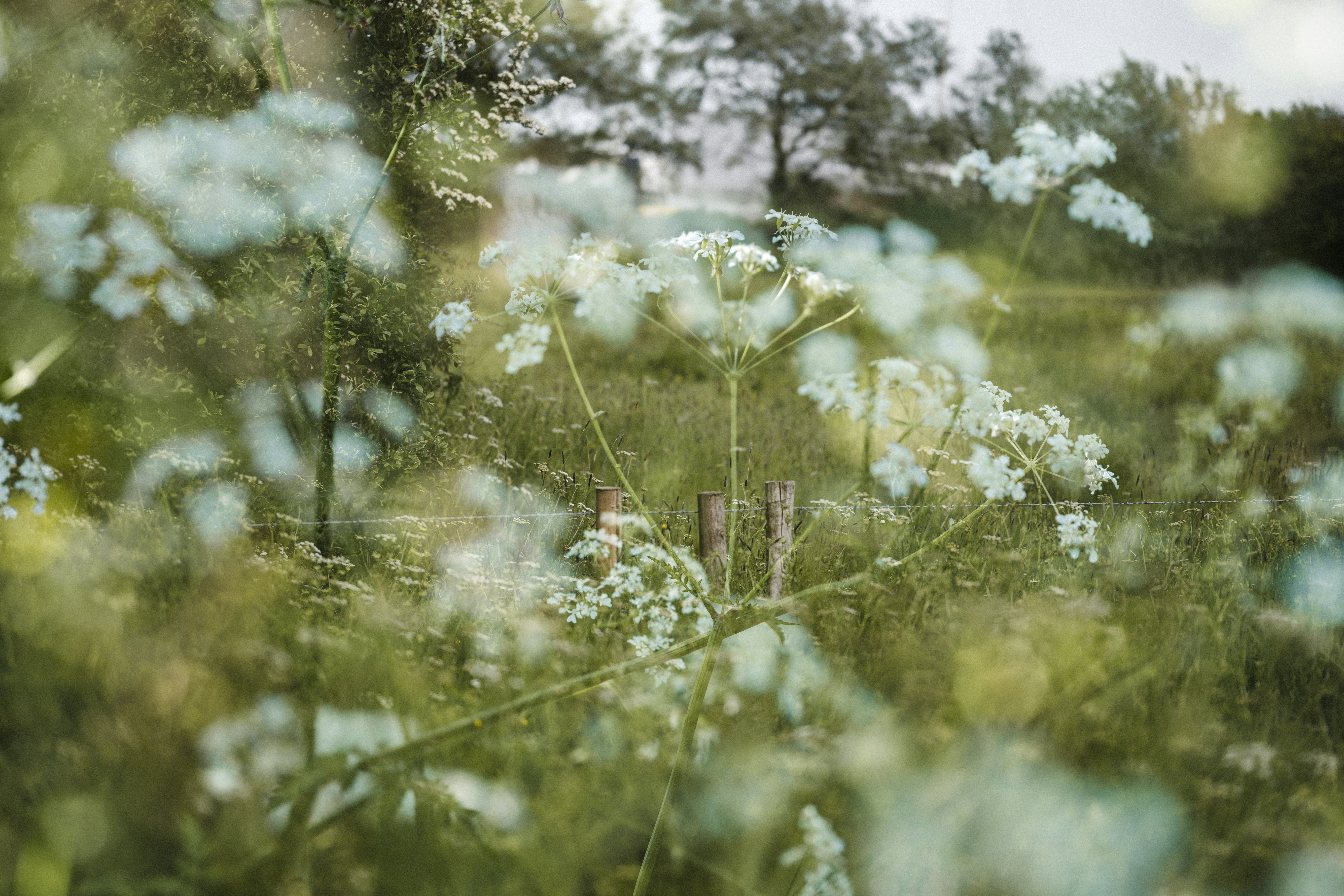 Photo by anniespratt