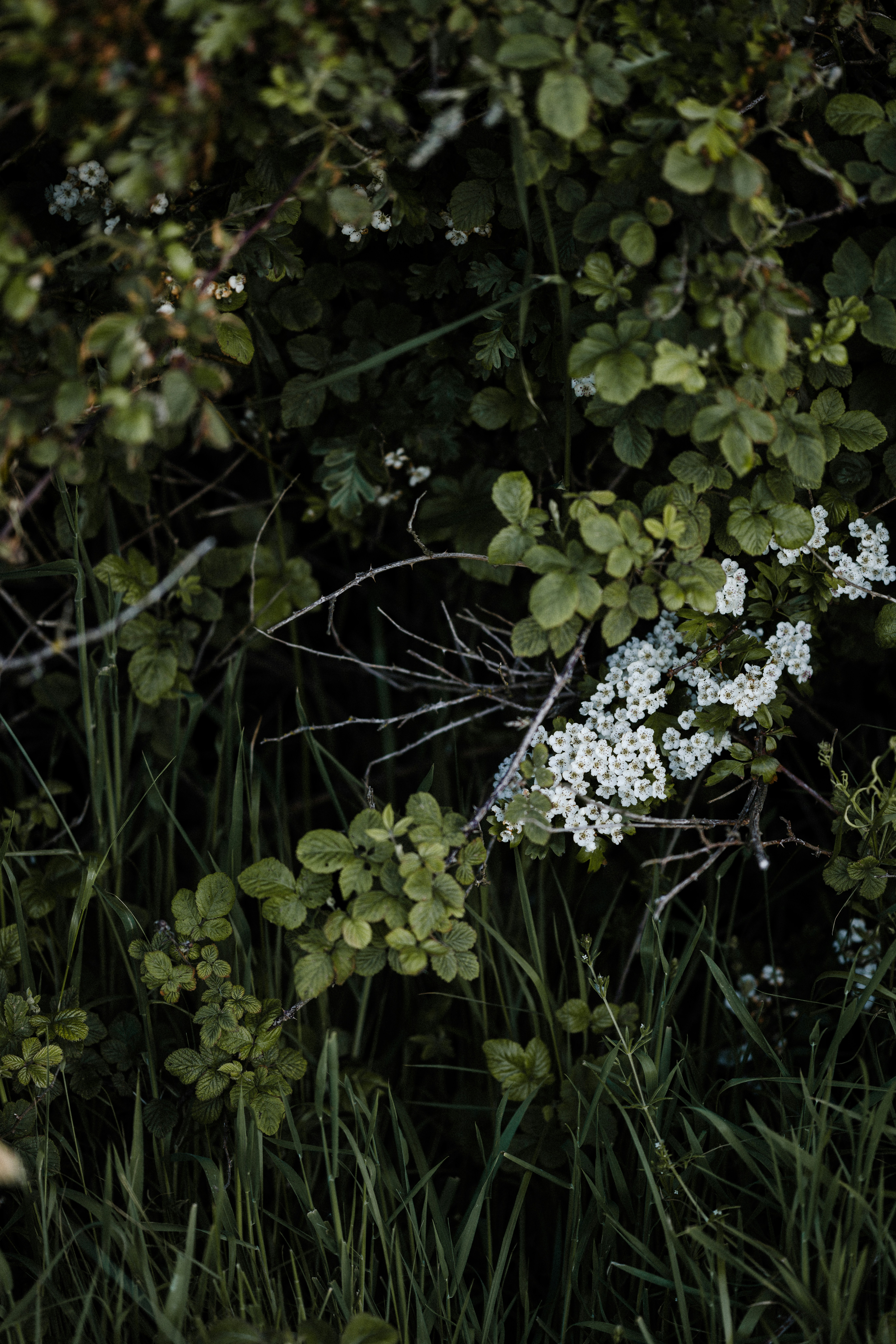 Photo by anniespratt