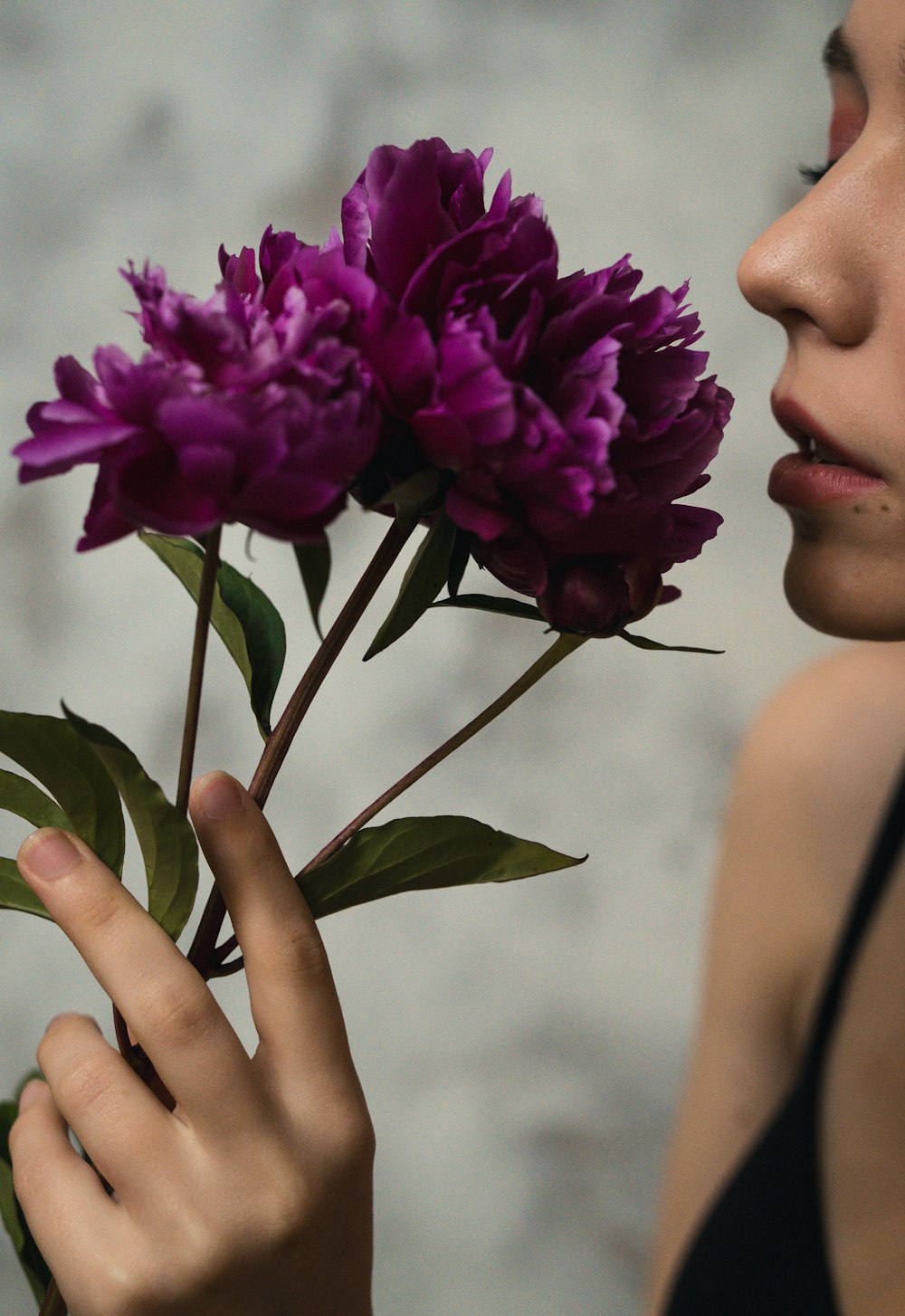 mulher que segura a flor roxa durante o dia