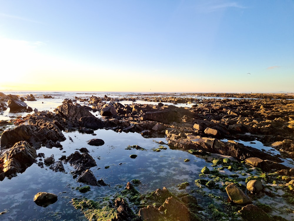 rocky shore under blue sky during daytime