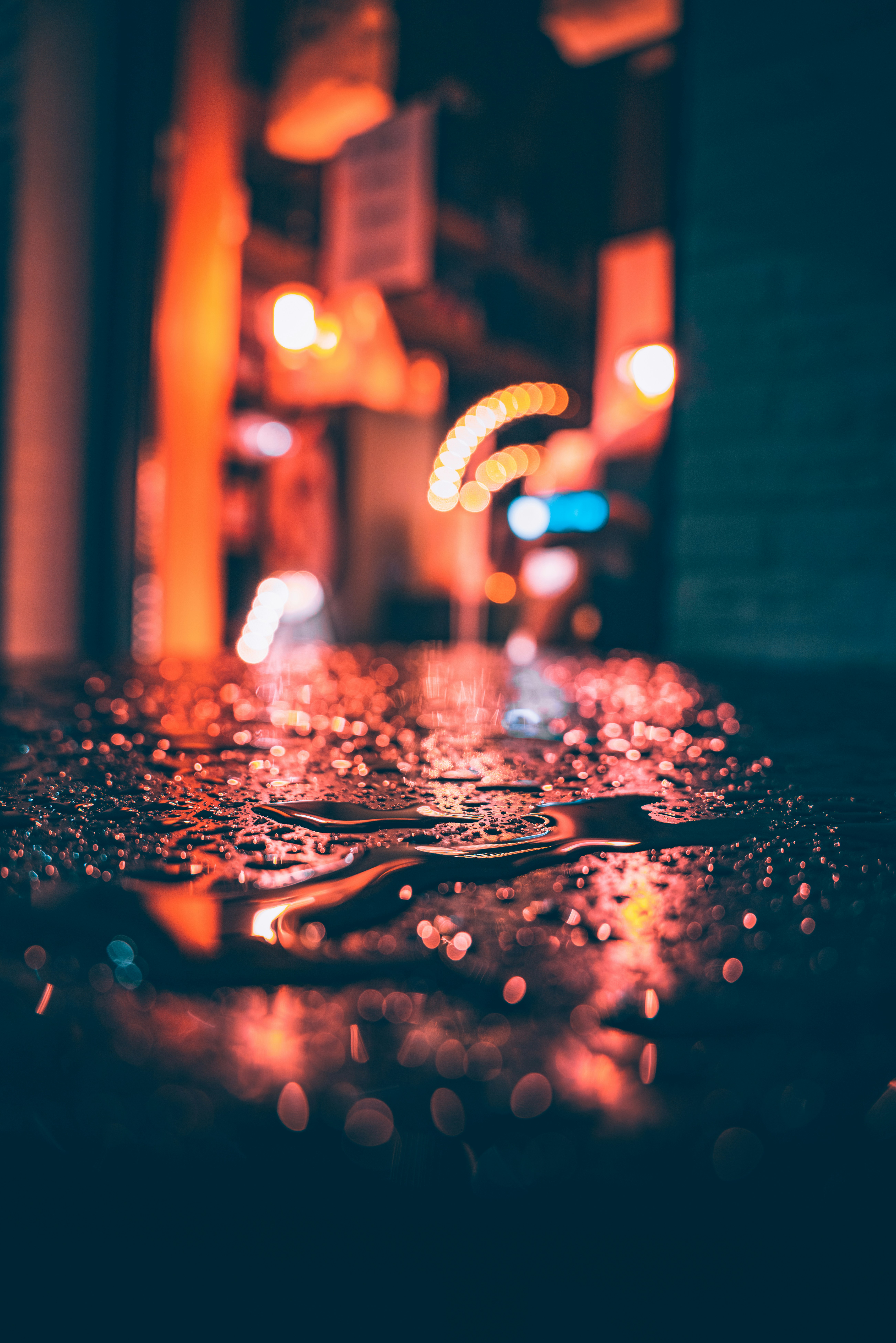 Photo by brotakesphotos