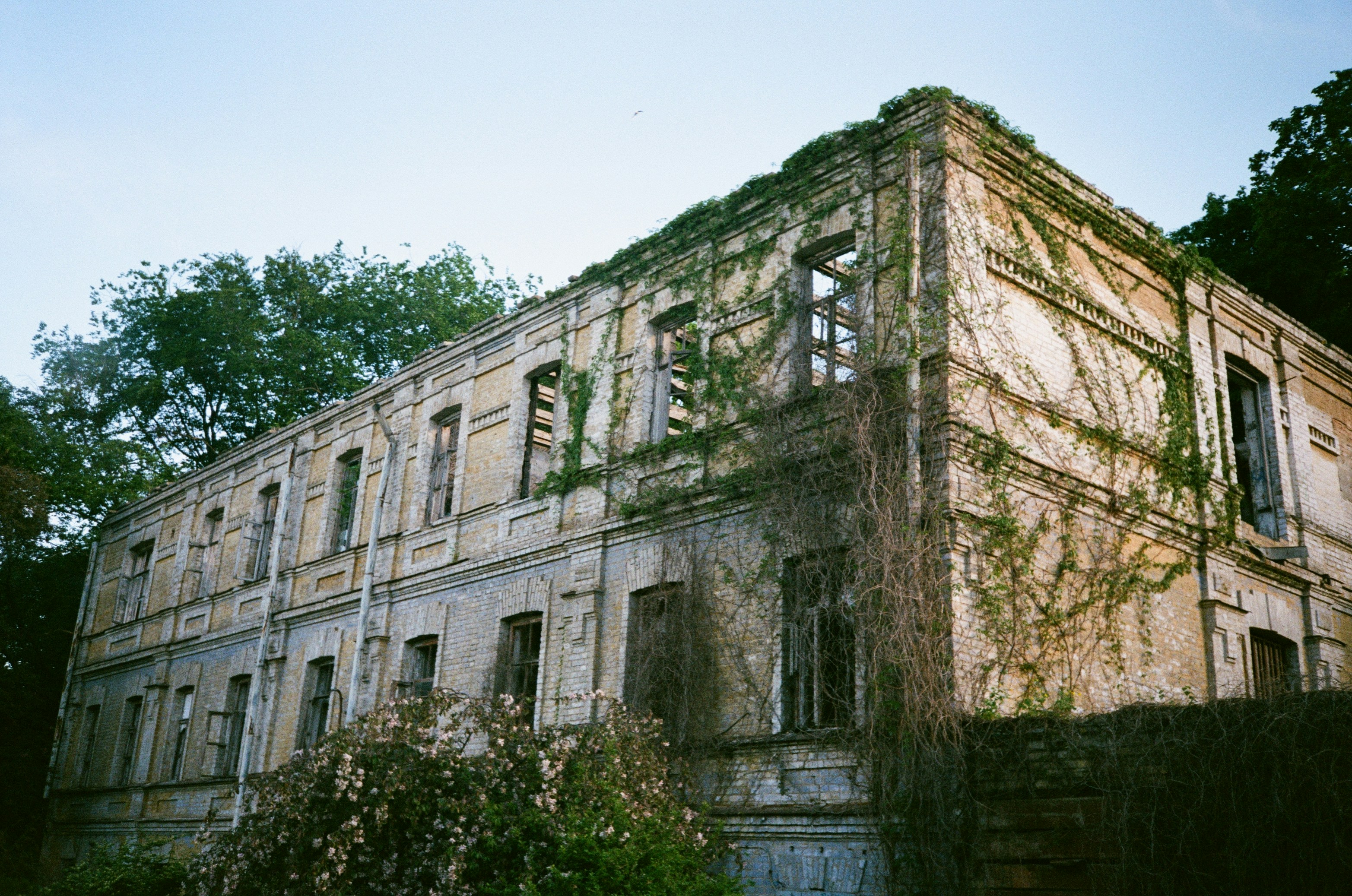 Photo by zhashkevych