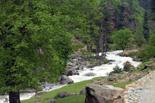 A scenic river flows through a lush green forest filled with trees and rocks. The river cascades over stones, creating white rapids amidst the tranquil setting. A pathway lines one side of the river, bordered by stones and patches of grass. Tall trees rise in the background, enhancing the natural beauty of the landscape.