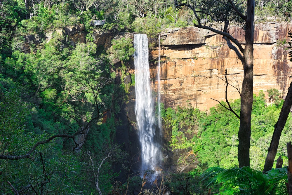 waterfalls in the middle of the forest