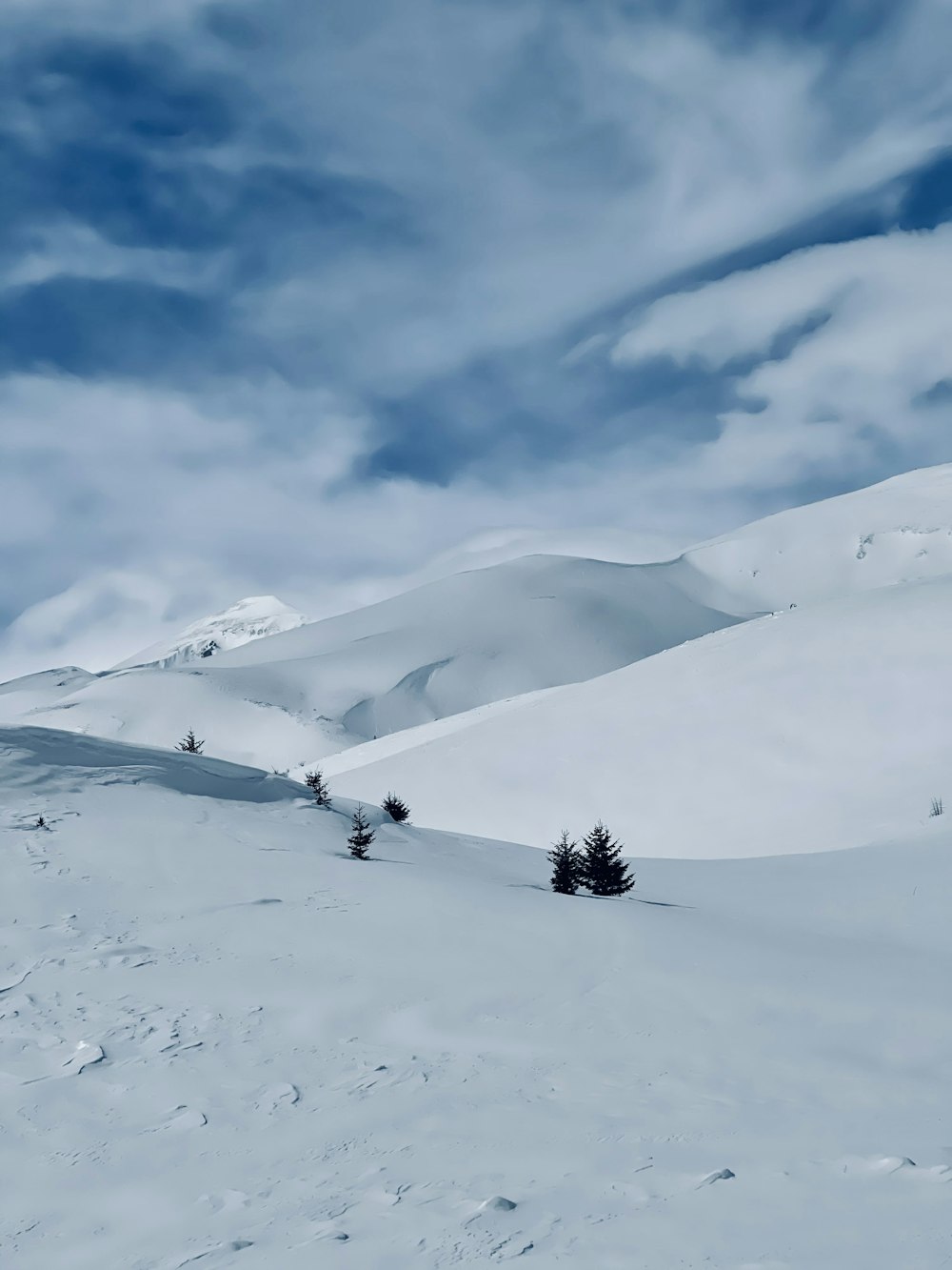 green tree on snow covered mountain under white clouds during daytime