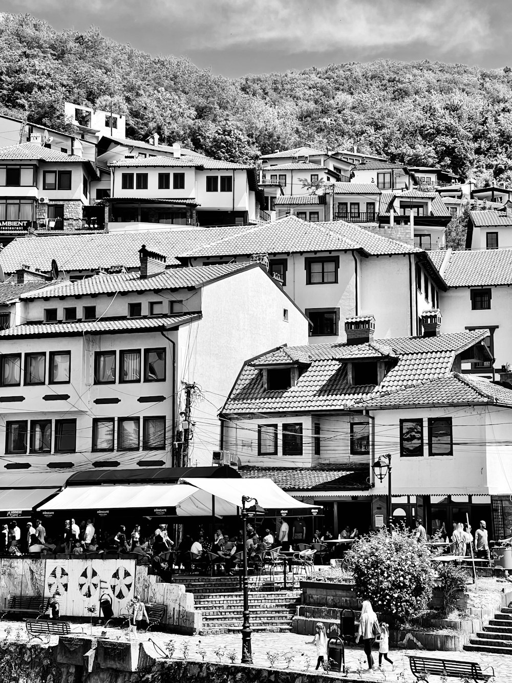 grayscale photo of houses near trees