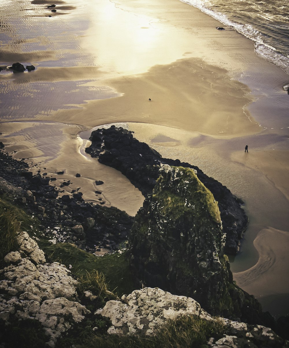 Vue aérienne du rivage rocheux vert et brun pendant la journée
