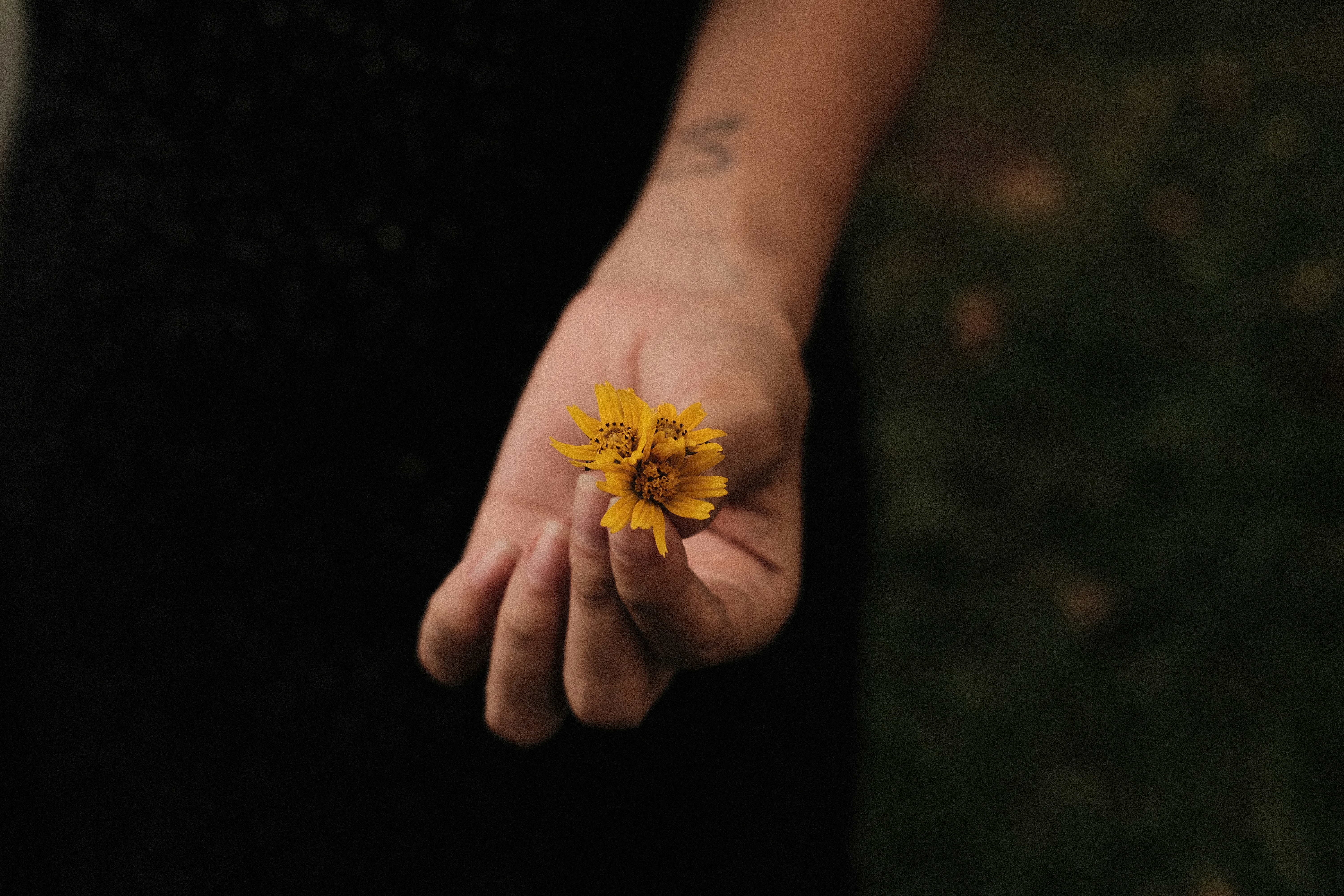 Photo by soemoe3000