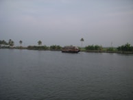 A tranquil riverside view from a houseboat in Alleppey at dawn.