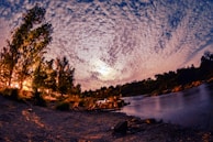 An ethereal light illuminating the riverbank.